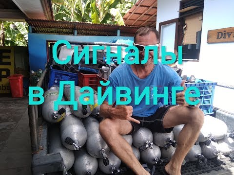 Видео: Сигналы в дайвинге