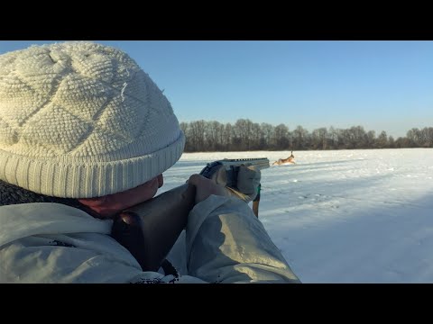 Видео: ОГО сколько тут много Зайцев. Охота на зайца 2023 Заяц вышел на охотника