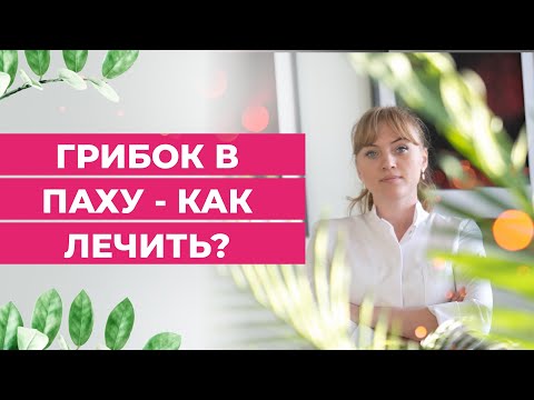 Видео: Грибок в паху-как лечить?