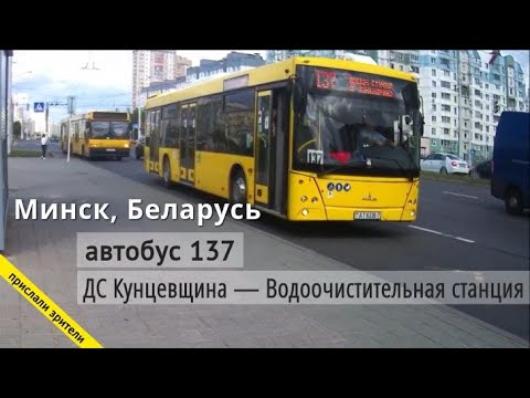 Видео: Минск Беларусь автобус 137 «ДС Кунцевщина — Водоочистительная станция» // 12.08.2021 // Miron Galkin