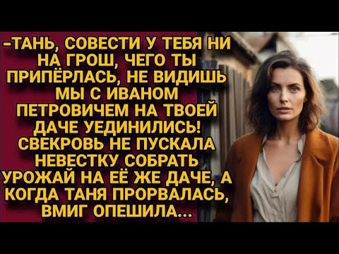 Видео: Свекровь не пускала невестку собрать урожай на её же даче, но когда Таня прорвалась...