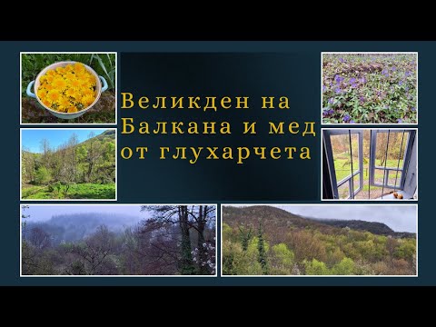 Видео: Великден на Балкана и мед от глухарчета