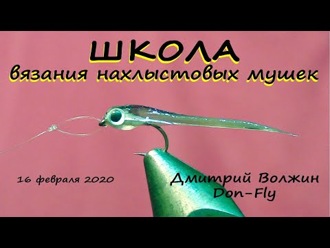 Видео: Школа вязания мушек 16.02.20. Рrovocateur