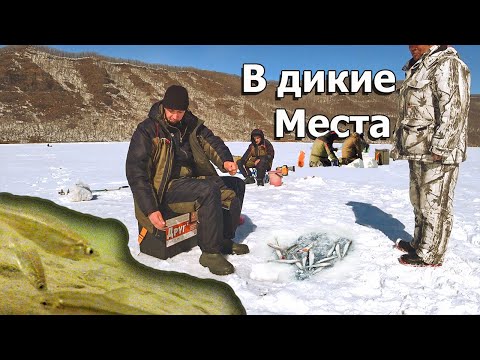 Видео: Рыбалка на самодур в диких местах! Ловлю маленький любимый рыбаками деликатес!