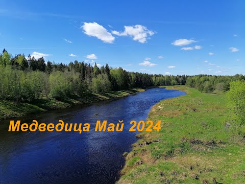 Видео: Медведица  Май2024