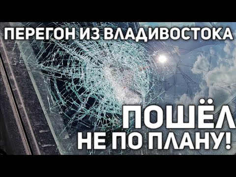 Видео: ЖЕСТЬ! САМОЕ СТРАШНОЕ В МОЁМ ПЕРЕГОНЕ(((