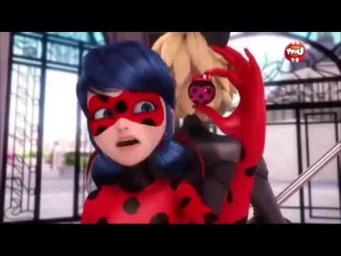 Видео: ледибаг и супер кот прикол 2
