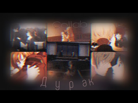 Видео: {AMV} Дурак // Коллаб
