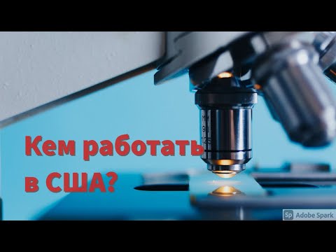 Видео: Кем работать в США, если не получилось защитить диплом врача?