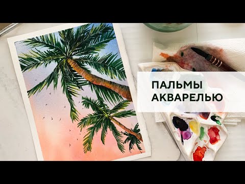 Видео: Пальмы на закате / Palm trees at sunset