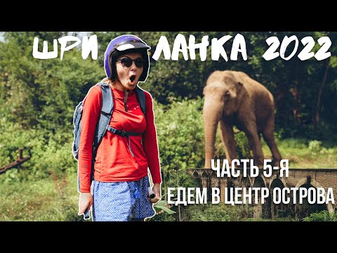 Видео: Шри-Ланка 2022. Часть 5-я. Едем в центр острова. Малый пик Адама, Элла-рок и девятиарочный мост.