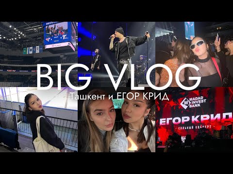 Видео: VLOG ❤️‍🔥 Ташкент, концерт Егора Крида, 66 минут со мной и Линой 💋