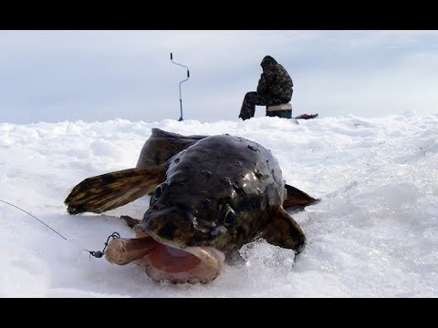 Видео: Волшебная самоделка для ловли налима