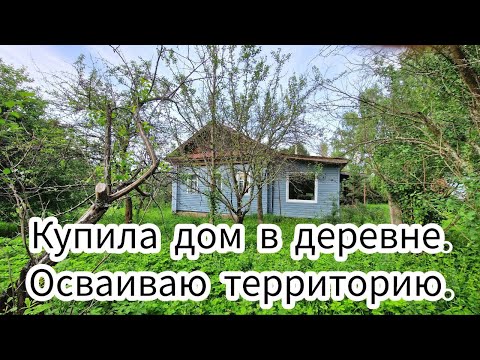 Видео: Купила дом в деревне. Осваиваю территорию.