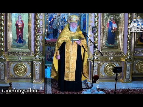 Видео: Ни дієта, ни вегетаріанство не є Постом, який поєднаний з подвигом. 19.11.2024, прот. Димитрій Сидор