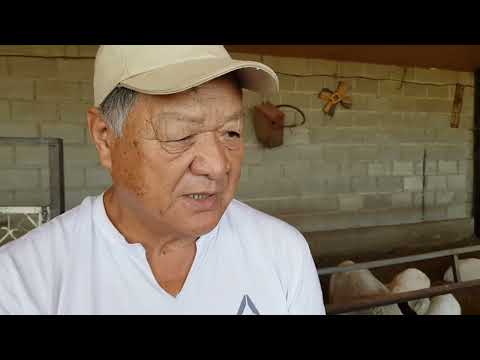 Видео: +77017224679 Анвар Рустемов.Хозяйство "Дорпер" Сулеймана и Рашида Маровых. Кыргызстан.