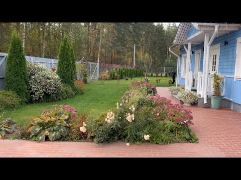 Видео: Влог ! День рождение Аркадия! 
