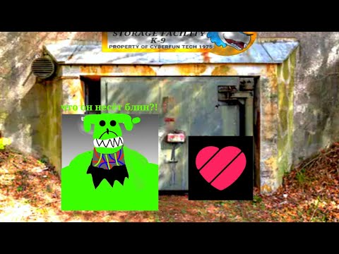 Видео: Обзор на видео из лайка! Что за треш там снимают?