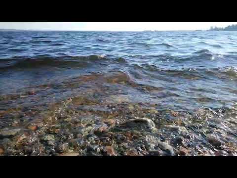Видео: Карелия Онежское озеро