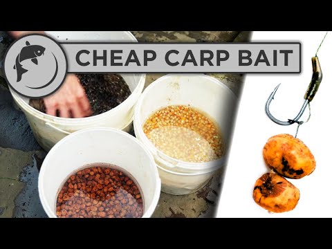 Видео: Как подготовить прикормку для ловли карпа — поймайте больше карпа и потратьте меньше денег!