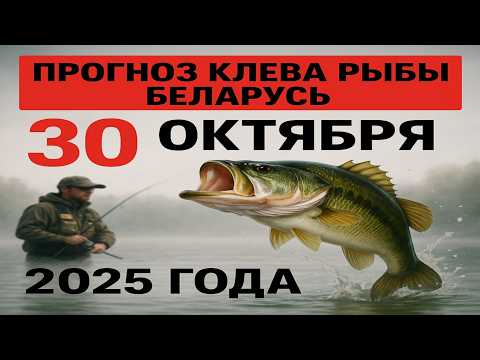 Видео: ПРОГНОЗ КЛЁВА в БЕЛАРУСИ на 30 октября 2025 года. Бросай все и на рыбалку!