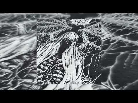 Видео: 1 HOUR KRUSHFUNK AND BRAZILIAN PHONK | POPULAR PHONK FROM TIK TOK | Фонк 2024