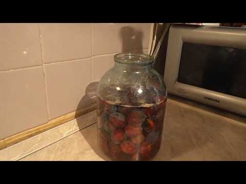 Видео: Домашняя наливочка из слив и вино в погребе ч.2