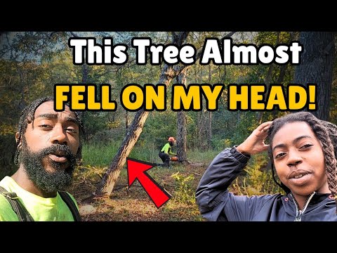 Видео: Заготавливаем дрова, чтобы согреться зимой на нашей усадьбе, не подключенной к электросети