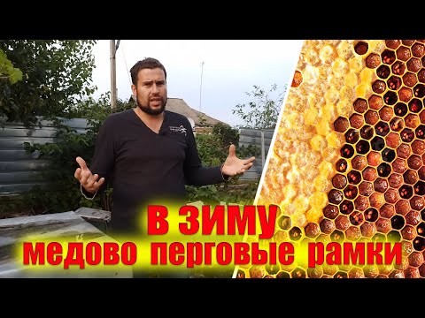 Видео: Оставлять или нет медово перговые рамки в зиму пчелам. Перговые рамки  пчелам в зиму