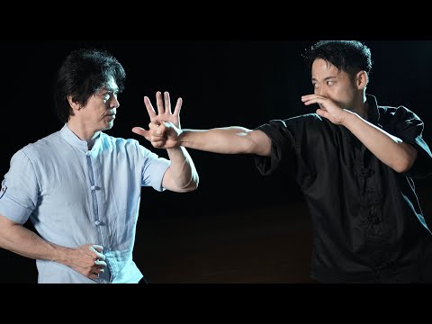 Видео: Незаметная атака! «Фань ланг цзинь» в кунг-фу.【Tamotsu Miyahira, Togo Ishii】