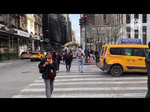 Видео: Нью Йорк зимой, центральный парк