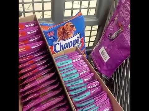 Видео: Посылка для Танюши и сына.Новости станицы.У Руты новоселье.Сделали прививку котятам, навестили Люси.