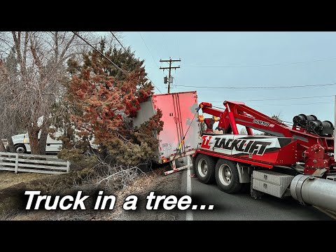 Видео: Там нельзя парковаться, приятель...