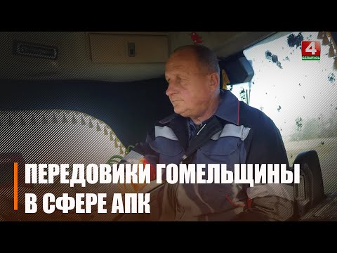 Видео: Лукашенко удостоил госнаграды механизатора из Тихинич Андрея Новикова