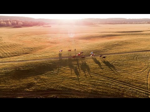 Видео: Русская конная псовая охота. Реконструкция эпизодов с конной прогулки