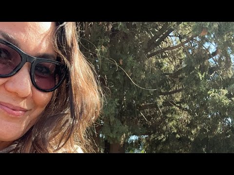 Видео: Сицилия