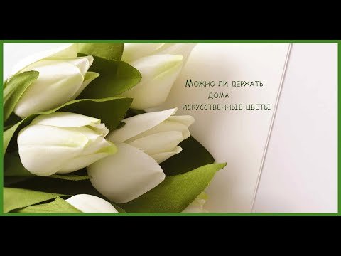 Видео: Можно- ли держать дома искусственные цветы?