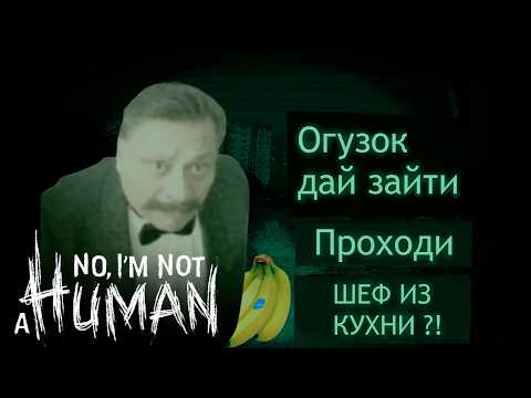 Видео: no i'm not a human приколы