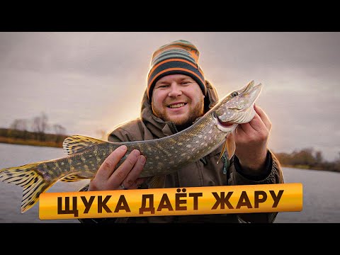 Видео: ЩУКА ДАЁТ ЖАРУ
