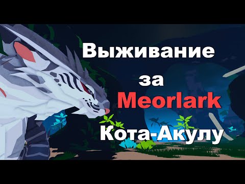 Видео: Выживание за Meorlark-Кота Акулу!