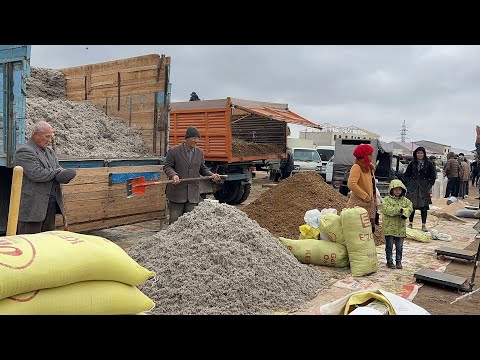 Видео: ХОРАЗМ ЕМ ХАШАК КУНЖАРА КЕПАК ШРОТ ШУЛХА САМОН БЕДА 17-НОЯБР ЯНГИ НАРХЛАР !!! XORAZM SAVDO