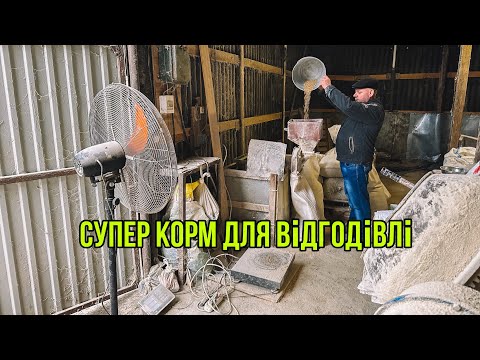 Видео: Корм для відгодівлі🐖5 місяців 160 кг 🔥