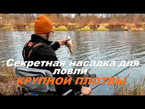 Видео: Секретная насадка для ловли крупной плотвы! Вот это поклевки!