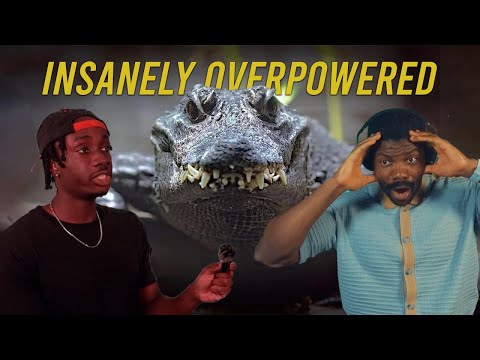 Видео: ОНИ — САМЫЕ СТРАШНЫЕ ХИЩНИКИ ВСЕХ ВРЕМЕН | Реакция The Chill Zone