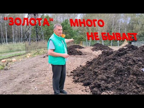 Видео: Привезли три машины УДОБРЕНИЯ для ТАБАКА. С трудом успеваем делать все ОСЕННИЕ РАБОТЫ.