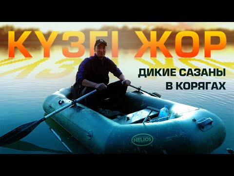 Видео: Күзгі ЖОР!!! Дикие сазаны в КОРЯГАХ