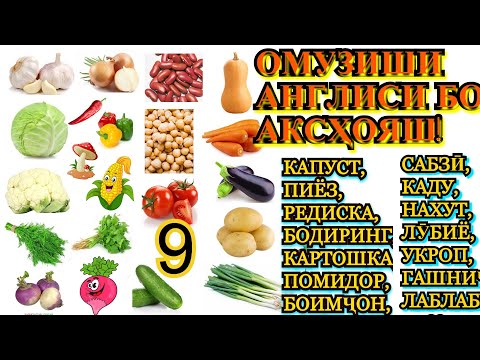 Видео: Омузиши забони Англиси бо аксҳояш 9.