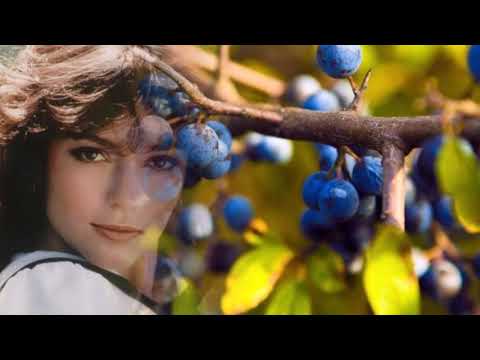 Видео: ПОЮЩИЕ В ТЕРНОВНИКЕ Л Успенская и С  Медяник