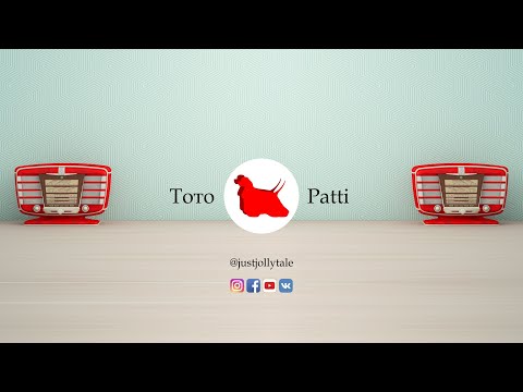 Видео: Груминг. Часть 1. Как купать американского кокер спаниеля