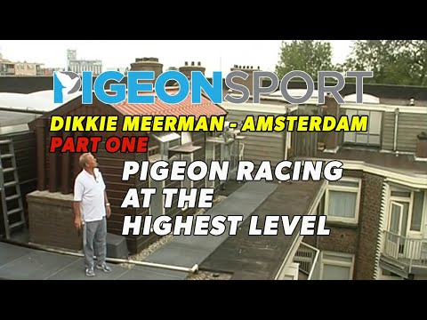 Видео: Толстый Мирман